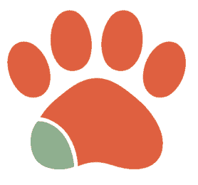 Enriched Paws